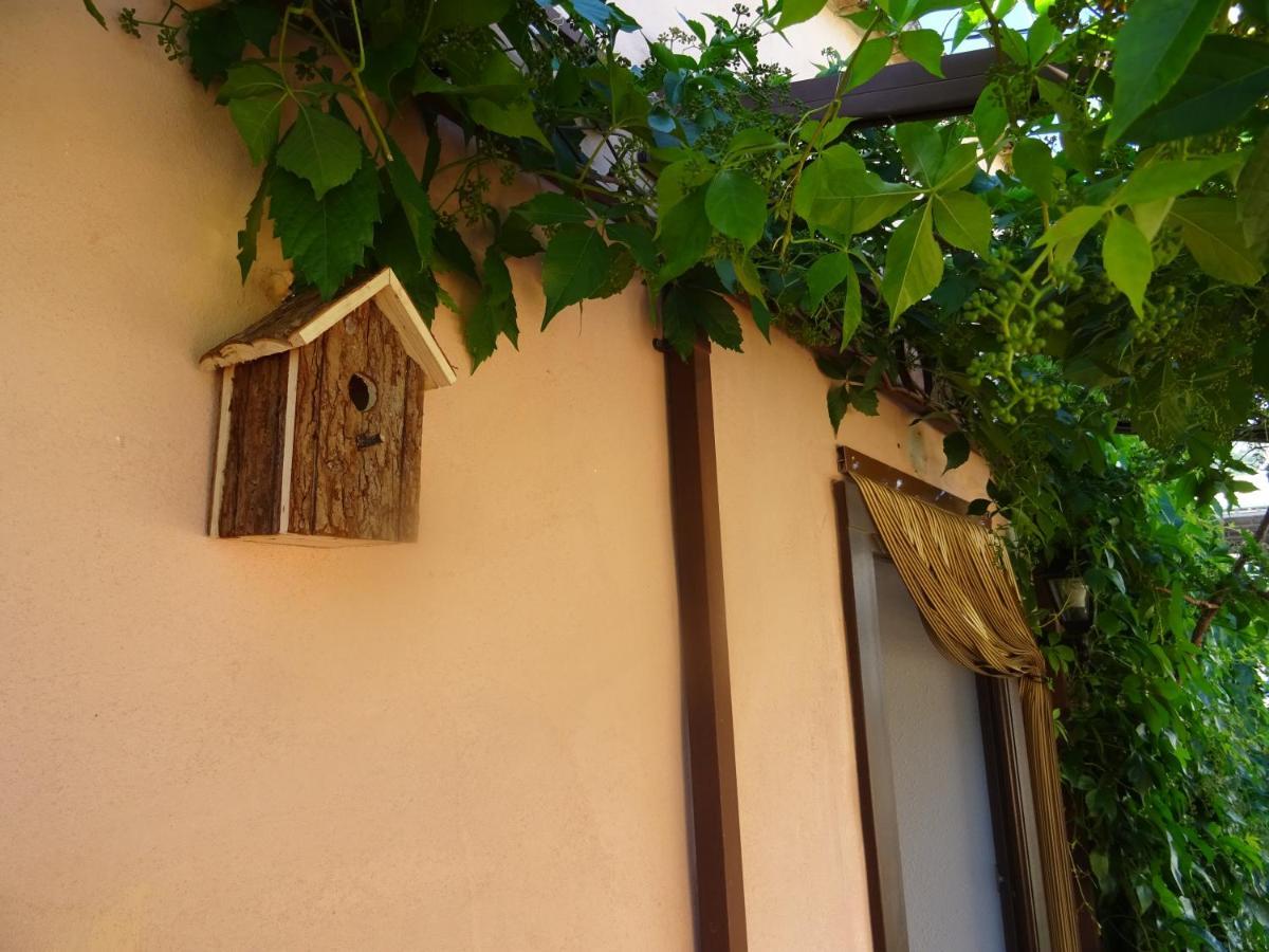 La Muntanya - Apartamentos Rural Guadalest เบนิมานเต ภายนอก รูปภาพ